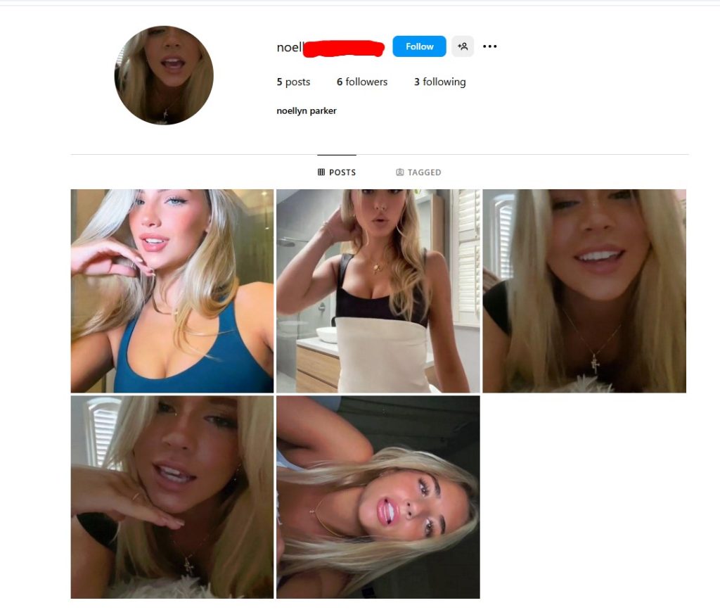USA Instagram with 2FA and Email Access - Dating Niche with Posts. Age: 8-9 Months