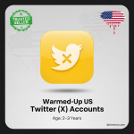 Warmed-Up US Twitter (X) Accounts 2–3 Years Aged 2FA Enabled