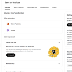 YouTube 1410 Subscriber Organic Monetized Channel