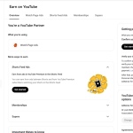 YouTube 1180 Subscriber Organic Monetized Channel