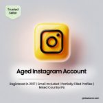 Buy Aged Instagram Accounts | Registered in 2017 | Email Included | Partially Filled Profiles | Mixed Country IPs