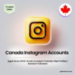 Buy Canada Instagram Accounts | Aged Since 2025 | Email Included | Partially Filled Profiles | Random Followers