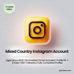 Buy Mixed Country Instagram Accounts | Aged Since 2025 | 2FA Enabled | Email Included | Profile Pic + 3 Posts | 100+ Followers | Fully Completed Profiles