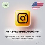 Buy USA Instagram Accounts | Aged Since 2025 | 2FA Enabled | Email Included | Partially Filled Profiles | Random Followers