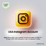 Buy USA Instagram Accounts | Aged Since 2025 | 2FA Enabled | Email Included | Profile Pic + 3 Posts | 250-500 Followers | Fully Completed Profiles