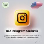 Buy USA Instagram Accounts | Aged Since 2025 | 2FA Enabled | Email Included | Profile Pic + 3 Posts | Random Followers | Fully Completed Profiles